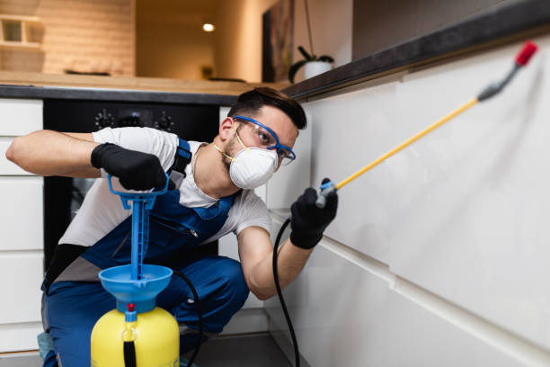 Best Local Pest Control Services  in Golf Manor, OH