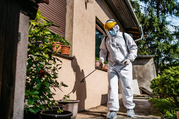 Best Affordable Pest Control Services  in Golf Manor, OH