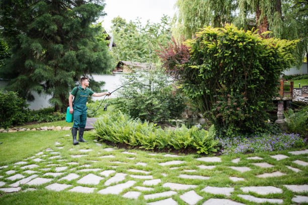 Best Pest Prevention Services  in Golf Manor, OH