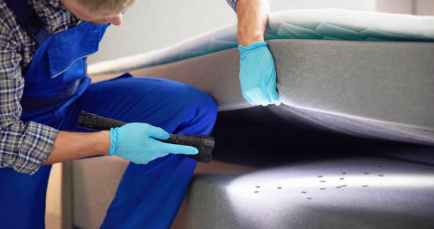 Best Affordable Pest Control Services  in Golf Manor, OH