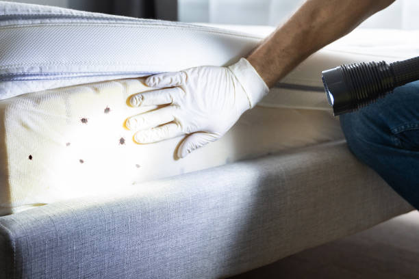 Best Affordable Pest Control Services  in Golf Manor, OH
