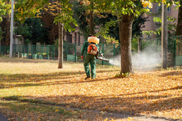 Trusted Golf Manor, OH Pest Control Experts