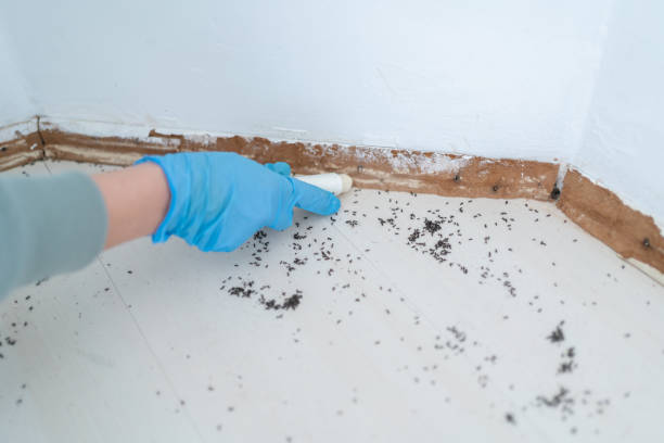 Wildlife Control Services in Golf Manor, OH