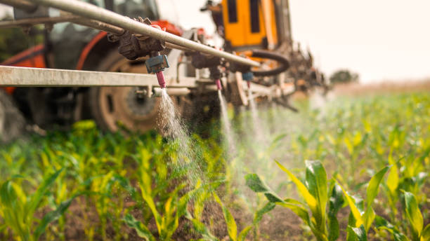Best Mosquito Control Services  in Golf Manor, OH